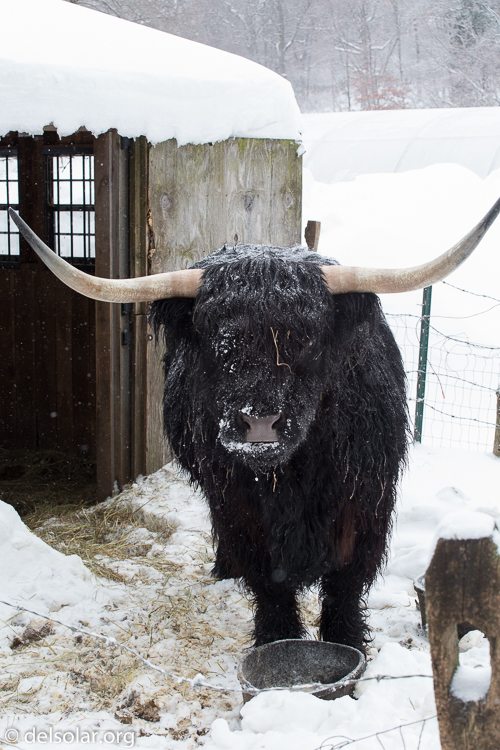 Canon EOS 5D Mark III  --  70 mm  --  EF70-200mm f/4L USM  