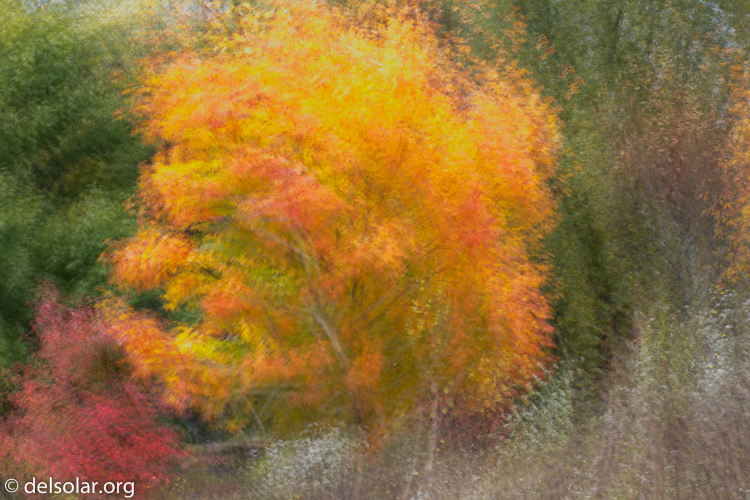 Canon EOS 5D Mark III  --  113 mm  --  EF70-200mm f/4L USM  