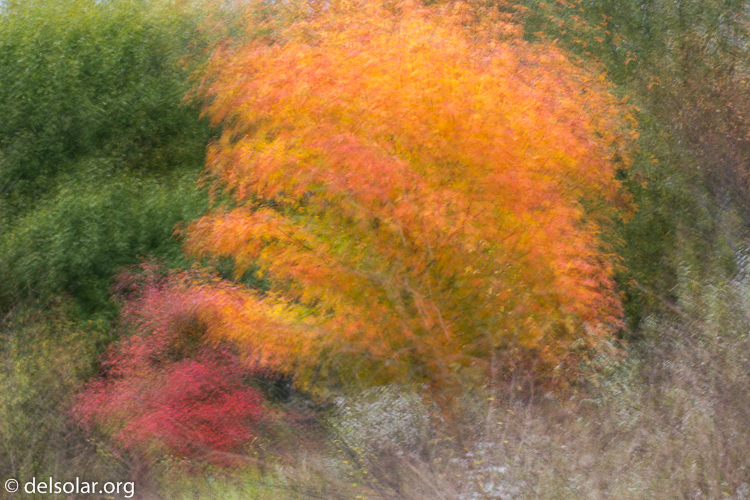 Canon EOS 5D Mark III  --  104 mm  --  EF70-200mm f/4L USM  