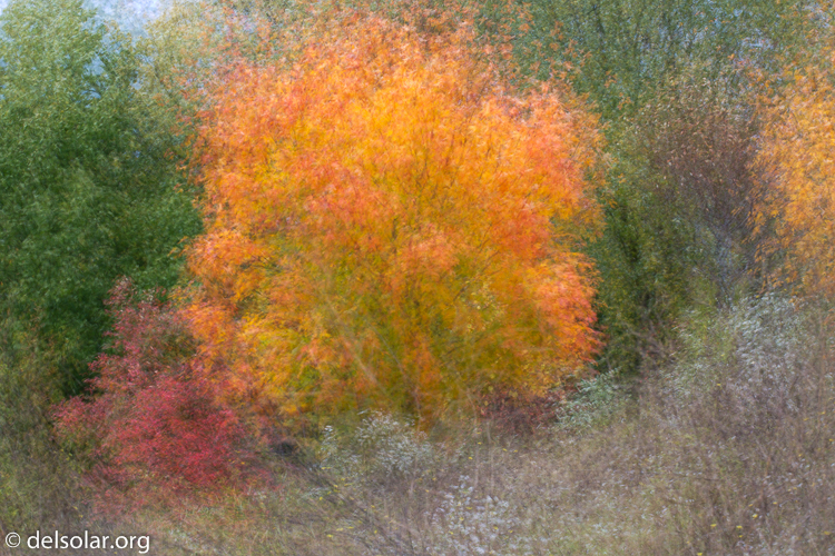 Canon EOS 5D Mark III  --  98 mm  --  EF70-200mm f/4L USM  