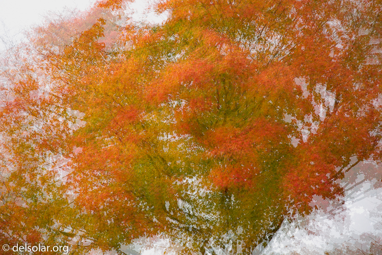 Canon EOS 5D Mark III  --  200 mm  --  EF70-200mm f/4L USM  