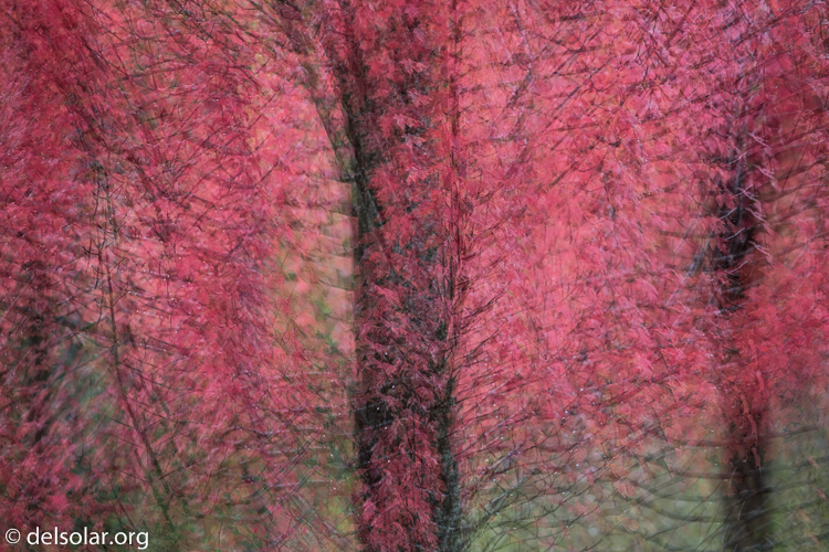 Canon EOS 5D Mark III  --  200 mm  --  EF70-200mm f/4L USM  