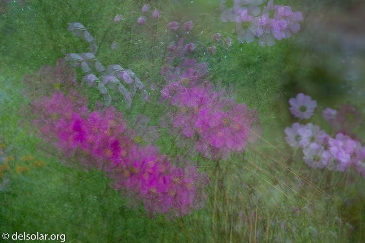 Canon EOS 5D Mark III  --  188 mm  --  EF70-200mm f/4L USM  