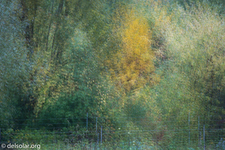 Canon EOS 5D Mark III  --  200 mm  --  EF70-200mm f/4L USM  