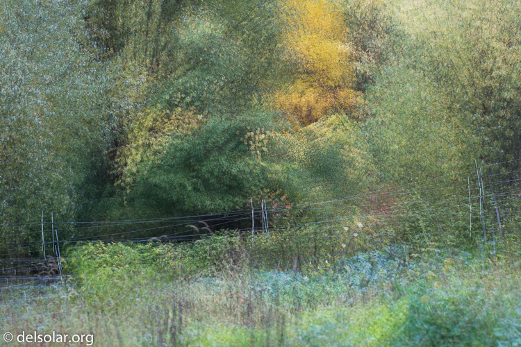 Canon EOS 5D Mark III  --  104 mm  --  EF70-200mm f/4L USM  