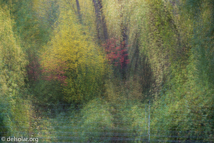 Canon EOS 5D Mark III  --  159 mm  --  EF70-200mm f/4L USM  