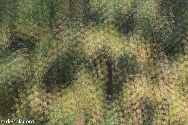 Canon EOS 5D Mark III  --  163 mm  --  EF70-200mm f/4L USM  