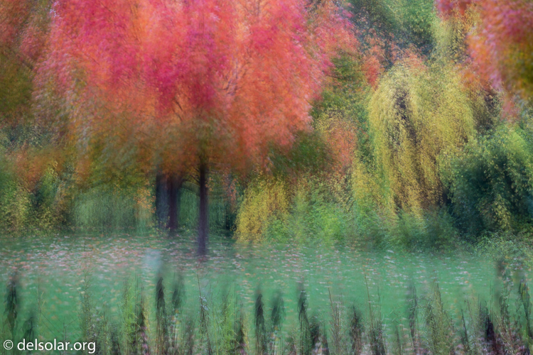 Canon EOS 5D Mark III  --  126 mm  --  EF70-200mm f/4L USM  