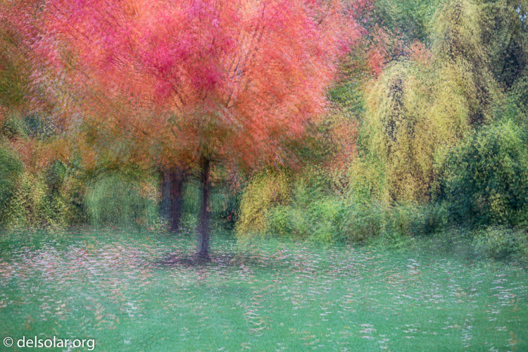 Canon EOS 5D Mark III  --  131 mm  --  EF70-200mm f/4L USM  