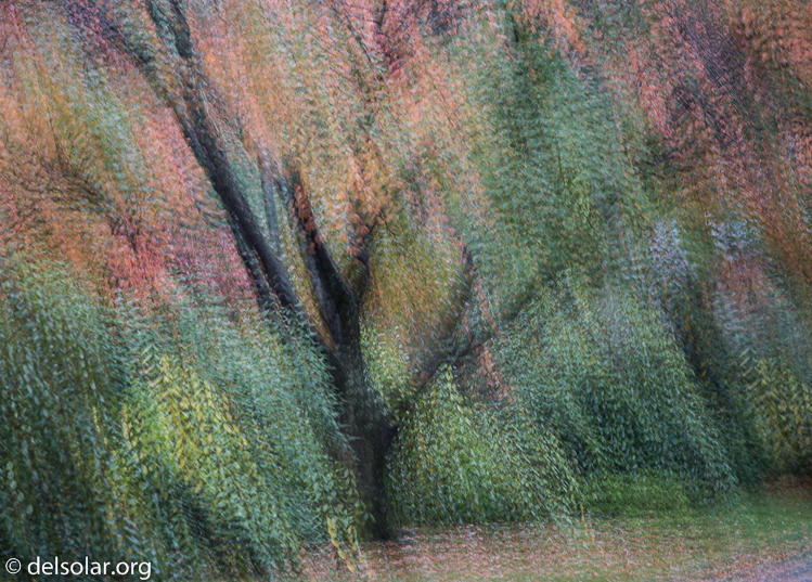 Canon EOS 5D Mark III  --  184 mm  --  EF70-200mm f/4L USM  