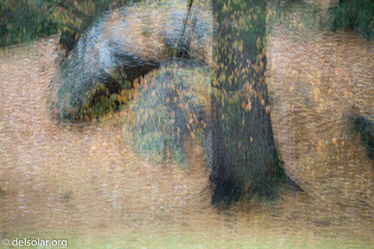 Canon EOS 5D Mark III  --  163 mm  --  EF70-200mm f/4L USM  