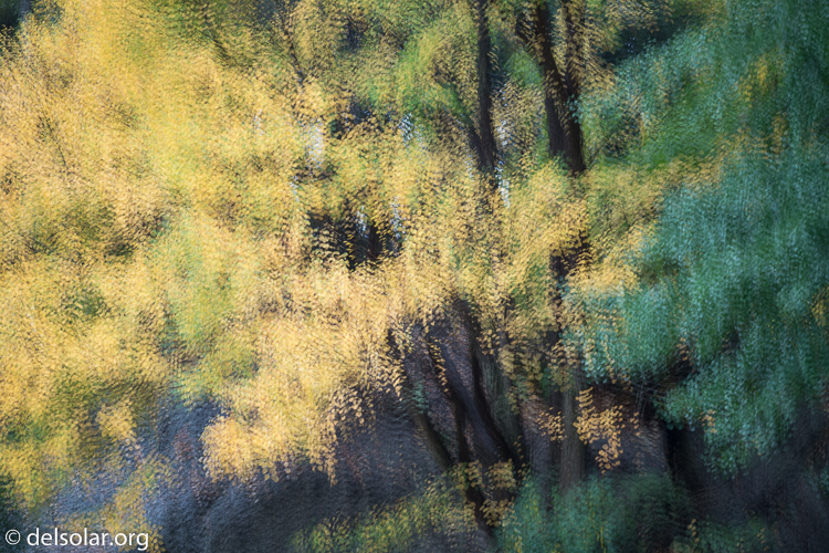 Canon EOS 5D Mark III  --  145 mm  --  EF70-200mm f/4L USM  