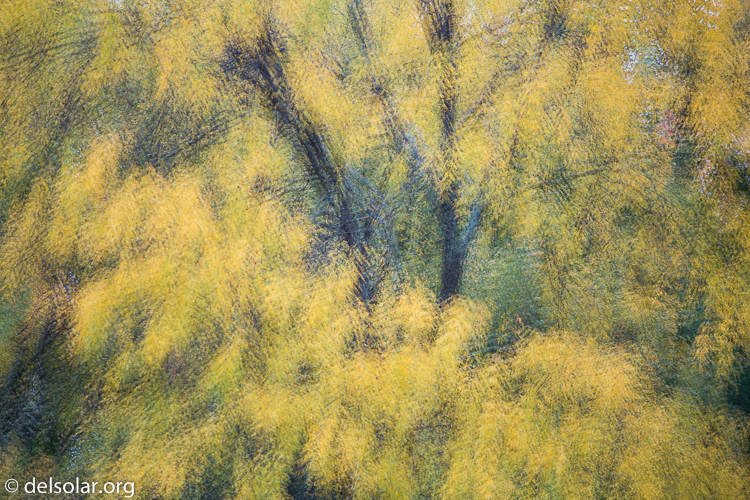 Canon EOS 5D Mark III  --  200 mm  --  EF70-200mm f/4L USM  