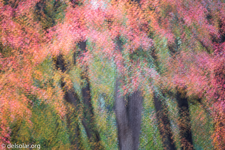 Canon EOS 5D Mark III  --  200 mm  --  EF70-200mm f/4L USM  