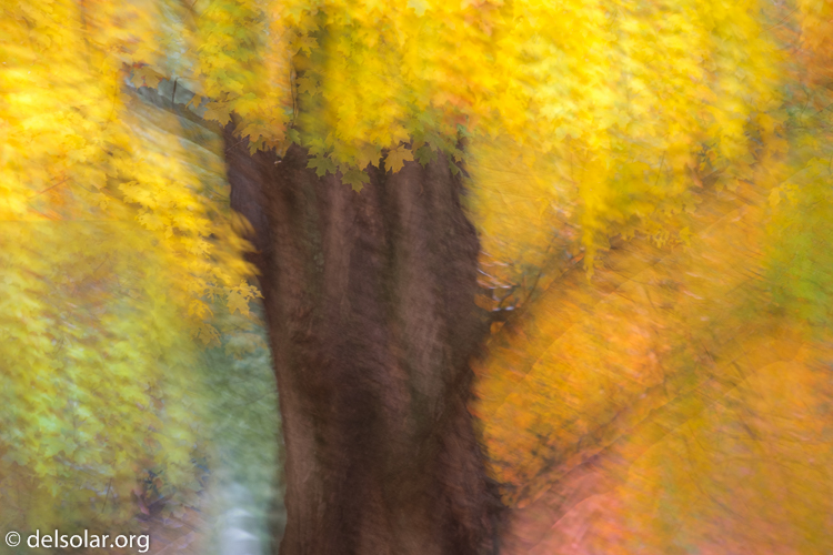 Canon EOS 5D Mark III  --  200 mm  --  EF70-200mm f/4L USM  