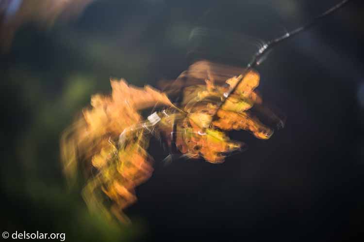 Canon EOS 5D Mark III  --  176 mm  --  EF100-400mm f/4.5-5.6L IS II USM  