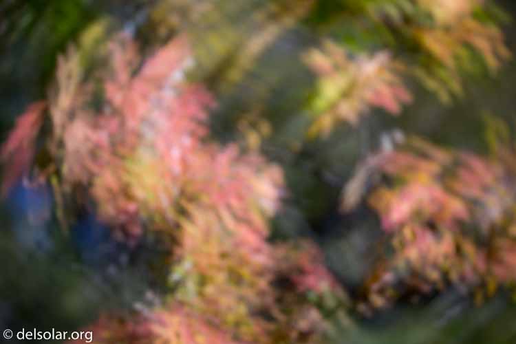 Canon EOS 5D Mark III  --  135 mm  --  EF100-400mm f/4.5-5.6L IS II USM  