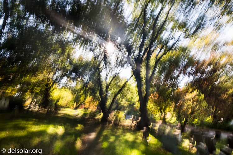 Canon EOS 5D Mark III  --  22 mm  --  EF16-35mm f/4L IS USM  