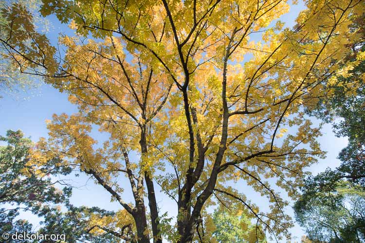 Canon EOS 5D Mark III  --  18 mm  --  EF16-35mm f/4L IS USM  