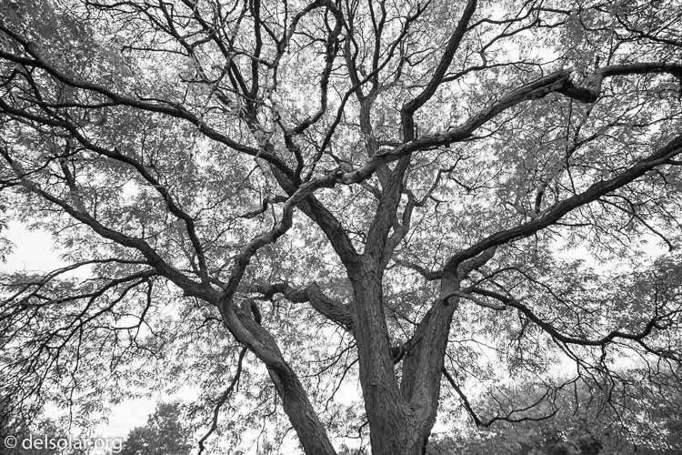 Canon EOS 5D Mark III  --  16 mm  --  EF16-35mm f/4L IS USM  