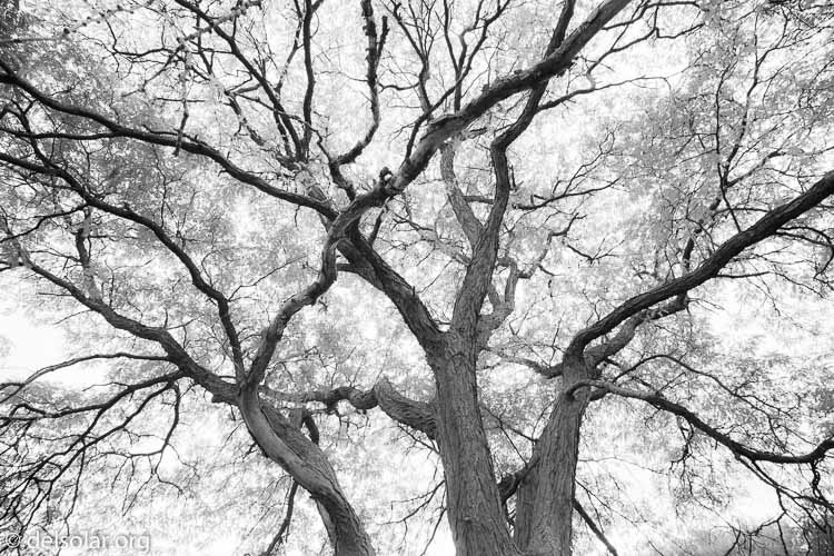 Canon EOS 5D Mark III  --  16 mm  --  EF16-35mm f/4L IS USM  