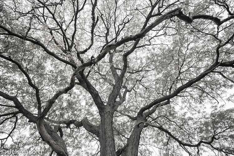 Canon EOS 5D Mark III  --  16 mm  --  EF16-35mm f/4L IS USM  