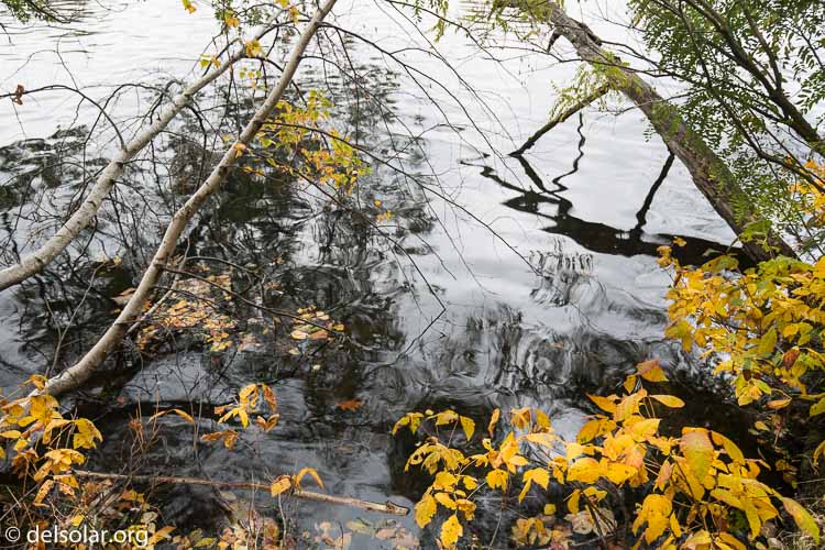 Canon EOS 5D Mark III  --  24 mm  --  EF16-35mm f/4L IS USM  