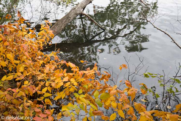 Canon EOS 5D Mark III  --  30 mm  --  EF16-35mm f/4L IS USM  