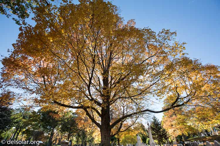 Canon EOS 5D Mark III  --  16 mm  --  EF16-35mm f/4L IS USM  