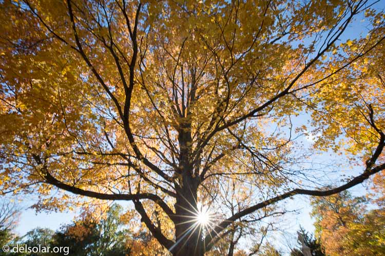 Canon EOS 5D Mark III  --  16 mm  --  EF16-35mm f/4L IS USM  