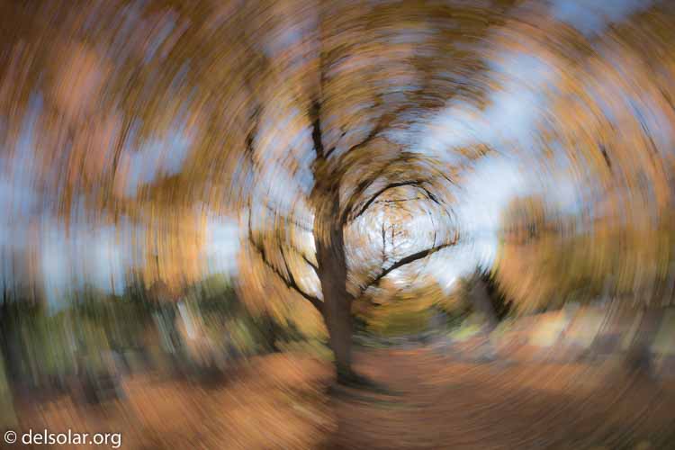 Canon EOS 5D Mark III  --  16 mm  --  EF16-35mm f/4L IS USM  