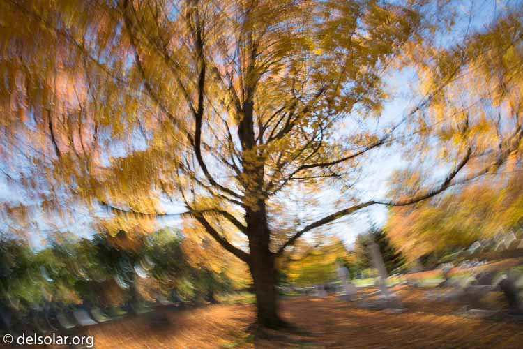 Canon EOS 5D Mark III  --  16 mm  --  EF16-35mm f/4L IS USM  