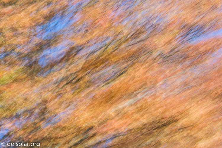 Canon EOS 5D Mark III  --  200 mm  --  EF100-400mm f/4.5-5.6L IS II USM  