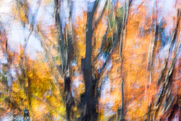 Canon EOS 5D Mark III  --  100 mm  --  EF100-400mm f/4.5-5.6L IS II USM  