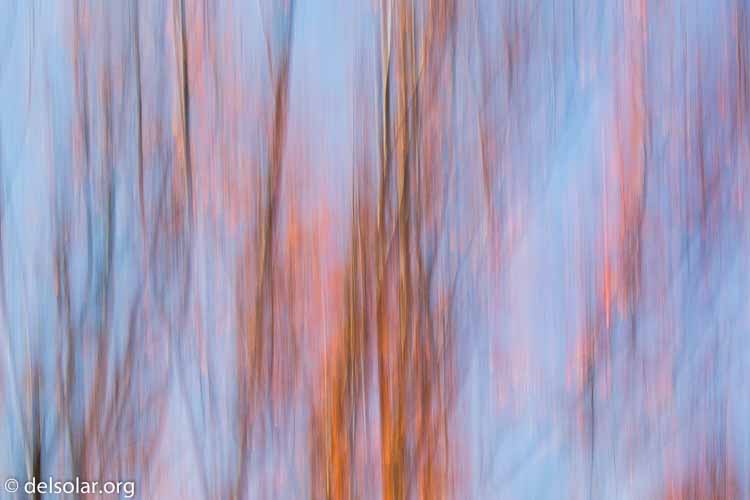 Canon EOS 5D Mark III  --  100 mm  --  EF100-400mm f/4.5-5.6L IS II USM  