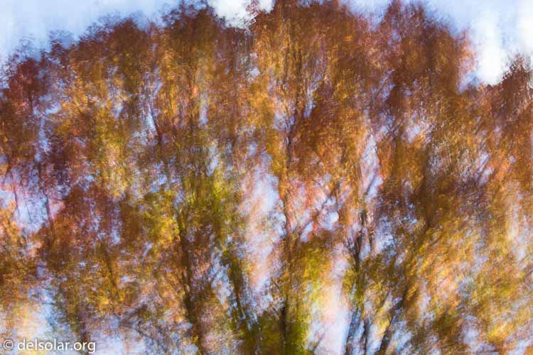 Canon EOS 5D Mark III  --  100 mm  --  EF100-400mm f/4.5-5.6L IS II USM  