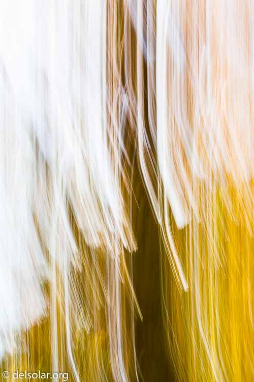 Canon EOS 5D Mark III  --  100 mm  --  EF100-400mm f/4.5-5.6L IS II USM  