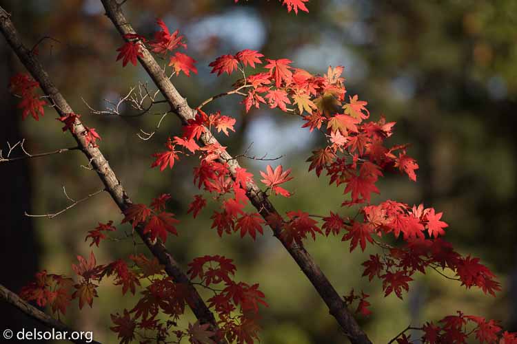 Canon EOS 5D Mark III  --  400 mm  --  EF100-400mm f/4.5-5.6L IS II USM  