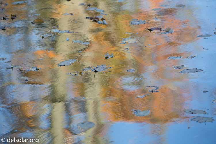 Canon EOS 5D Mark III  --  271 mm  --  EF100-400mm f/4.5-5.6L IS II USM  