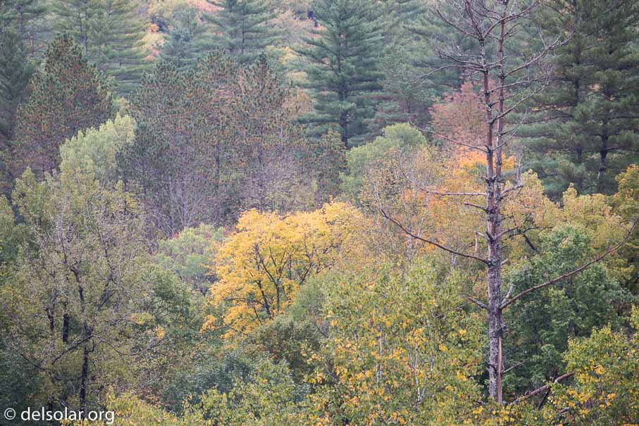 Canon EOS 5D Mark III  --  400 mm  --  EF100-400mm f/4.5-5.6L IS II USM  