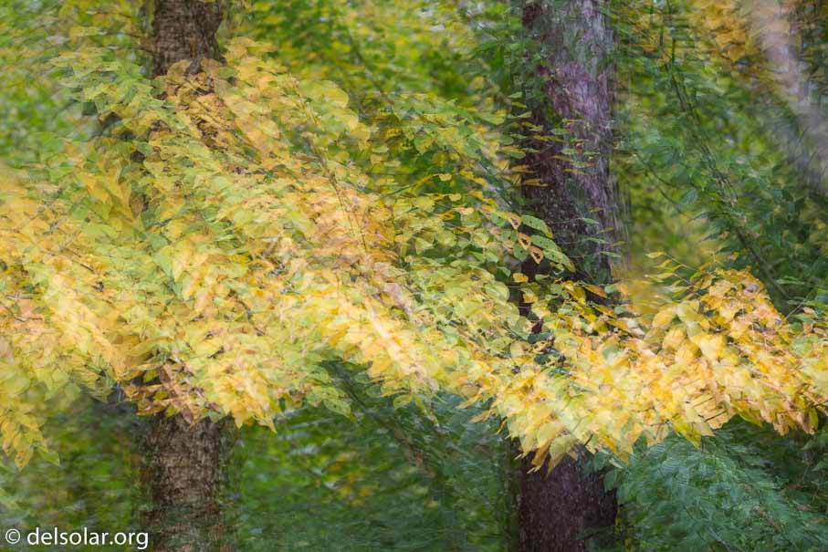 Canon EOS 5D Mark III  --  200 mm  --  EF100-400mm f/4.5-5.6L IS II USM  