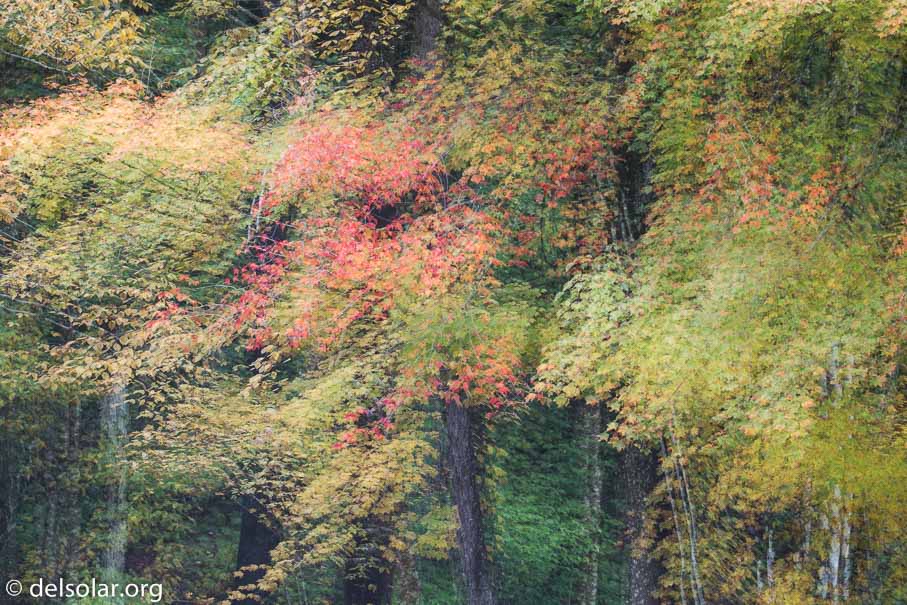 Canon EOS 5D Mark III  --  158 mm  --  EF100-400mm f/4.5-5.6L IS II USM  