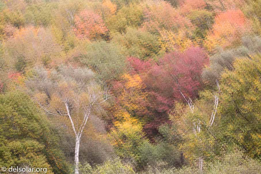 Canon EOS 5D Mark III  --  182 mm  --  EF100-400mm f/4.5-5.6L IS II USM  