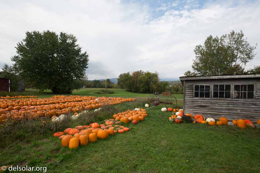 Canon EOS 5D Mark III  --  17 mm  --  EF16-35mm f/4L IS USM  