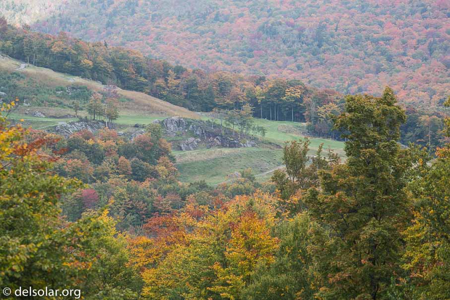 Canon EOS 5D Mark III  --  188 mm  --  EF100-400mm f/4.5-5.6L IS II USM  