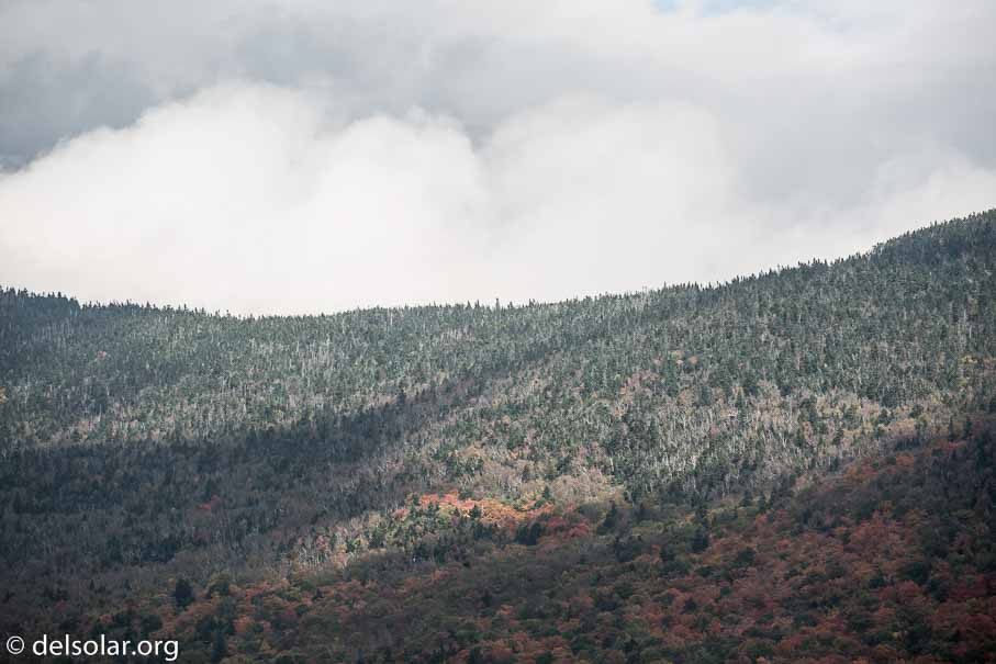 Canon EOS 5D Mark III  --  255 mm  --  EF100-400mm f/4.5-5.6L IS II USM  