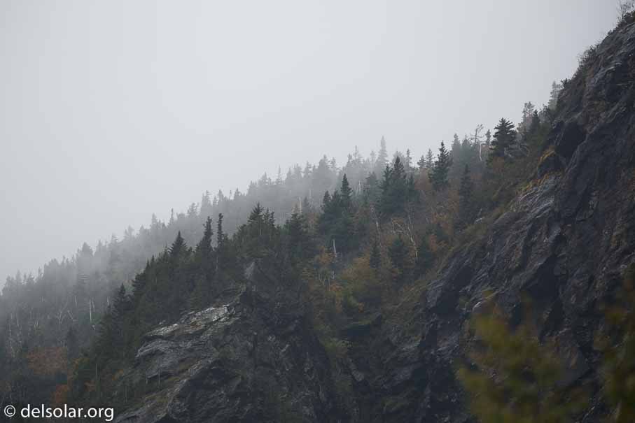 Canon EOS 5D Mark III  --  349 mm  --  EF100-400mm f/4.5-5.6L IS II USM  