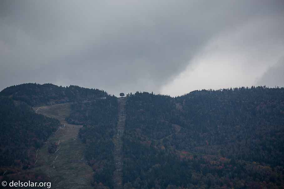 Canon EOS 5D Mark III  --  330 mm  --  EF100-400mm f/4.5-5.6L IS II USM  