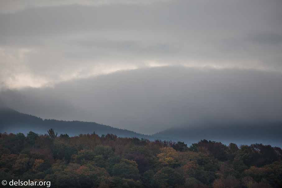 Canon EOS 5D Mark III  --  400 mm  --  EF100-400mm f/4.5-5.6L IS II USM  