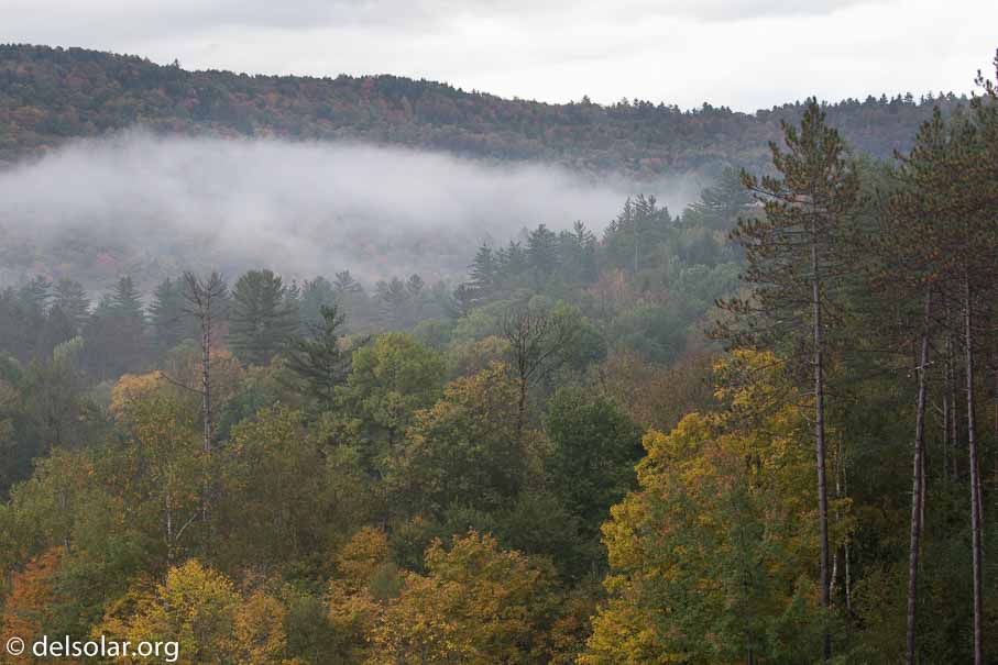 Canon EOS 5D Mark III  --  100 mm  --  EF100-400mm f/4.5-5.6L IS II USM  